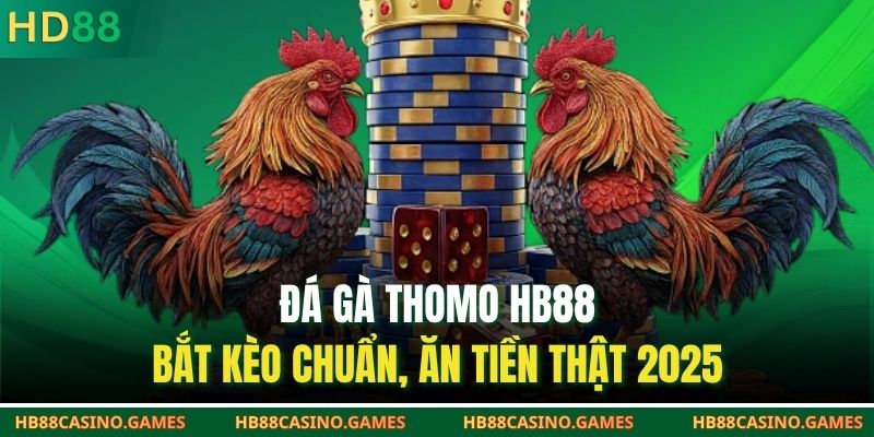 Đá Gà Thomo HB88 | Bắt Kèo Chuẩn, Ăn Tiền Thật 2025
