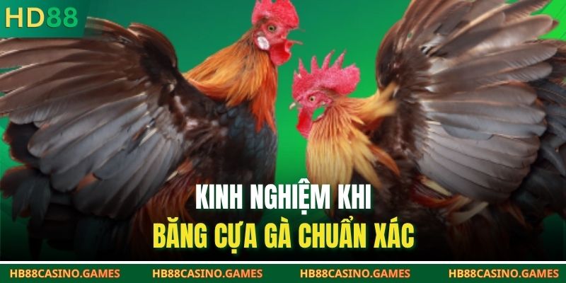 Kinh nghiệm khi băng cựa gà chuẩn xác