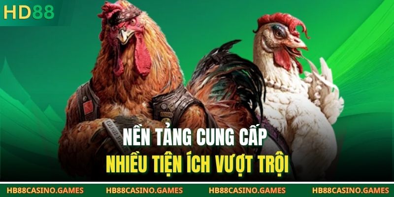 Nền tảng cung cấp nhiều tiện ích vượt trội