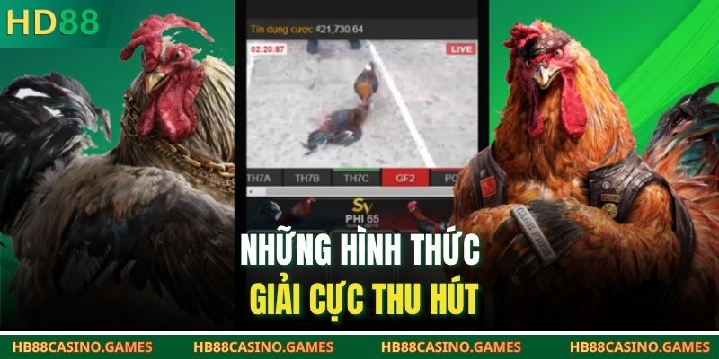 Những hình thức giải cực thu hút