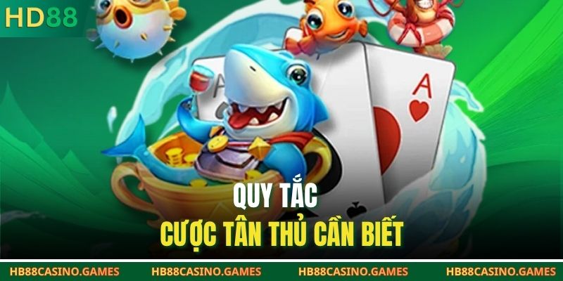 Quy tắc cược tân thủ cần biết