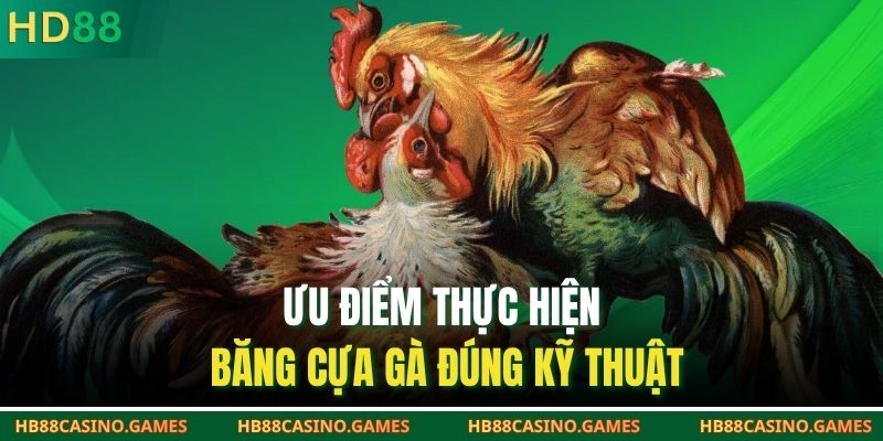 Ưu điểm thực hiện băng cựa gà đúng kỹ thuật